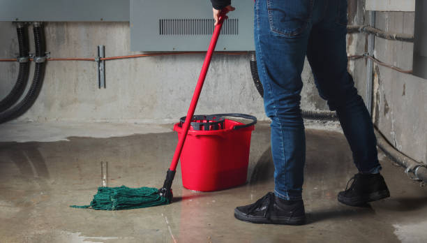 Best Flood damage cleanup  in Mill Creek East, WA
