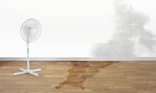 Best Emergency water damage restoration  in Mill Creek East, WA