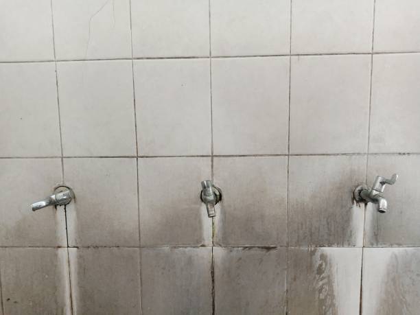 Professional Water damage restoration in Mill Creek East, WA