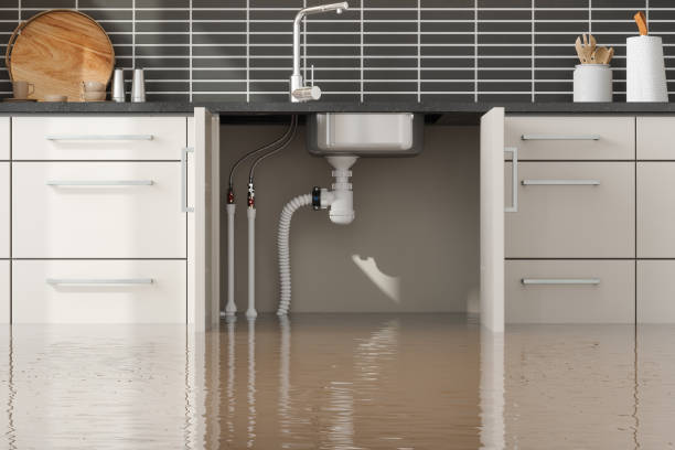 Sewage cleanup and water damage restoration in Mill Creek East, WA