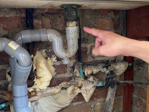 Reliable Mill Creek East, WA Water damage restoration Solutions