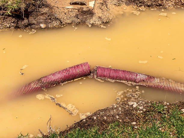 Best Sewage cleanup and water damage restoration  in Mill Creek East, WA