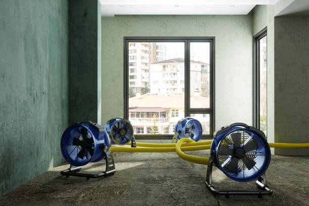 Best Water damage cleanup near me  in Mill Creek East, WA