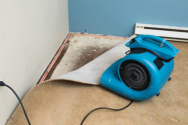 Best Water damage restoration near me  in Mill Creek East, WA