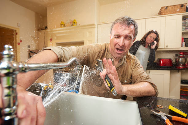 Best Basement water damage restoration  in Mill Creek East, WA